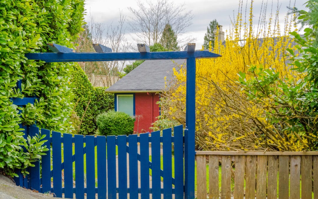 Top Landscaping Secrets for a Dreamy Garden